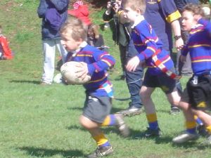 dsc00724-1.jpg